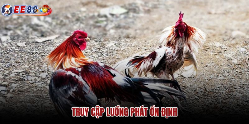 truy-cap-luong-phat-on-dinh truy-cap-luong-phat-on-dinh